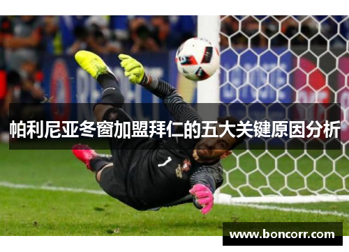 帕利尼亚冬窗加盟拜仁的五大关键原因分析